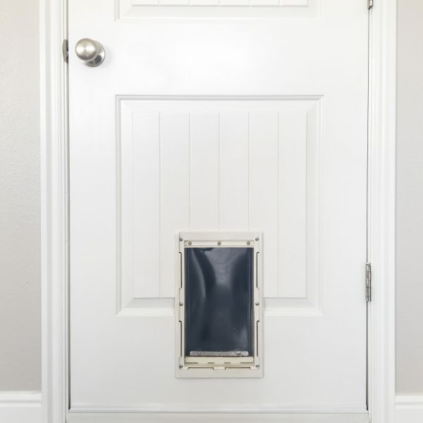 Pet Door Repair in Orem